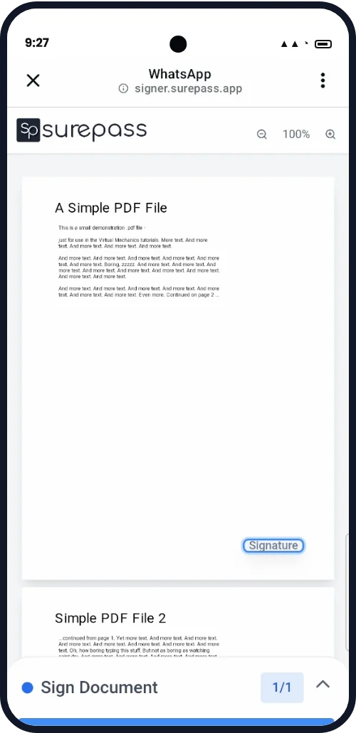Review the document